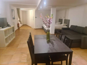 Spacious studio with private entrance